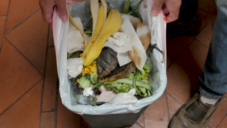 Best Dumpster Rental Services  in Sparta, TN